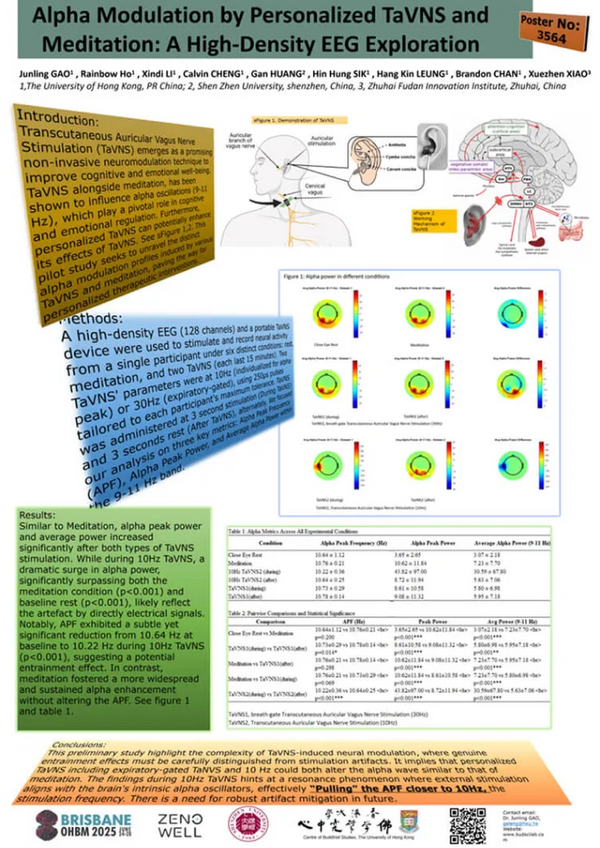 A High-Density EEG Exploration.