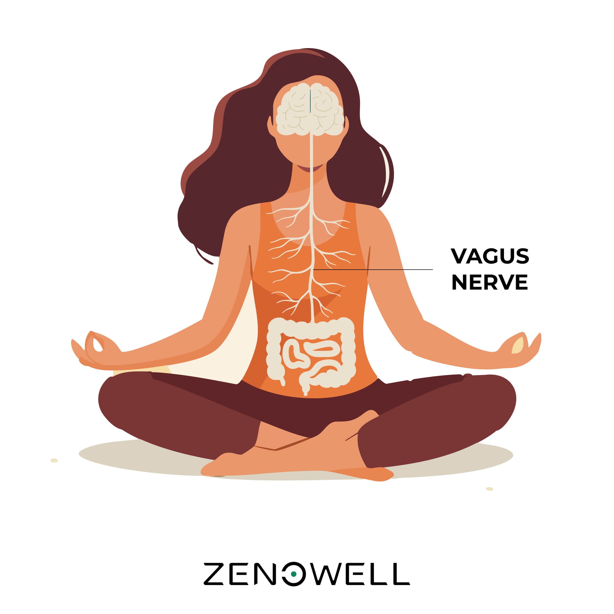The Gut-Brain Axis and the Promise of Vagus Nerve Stimulation