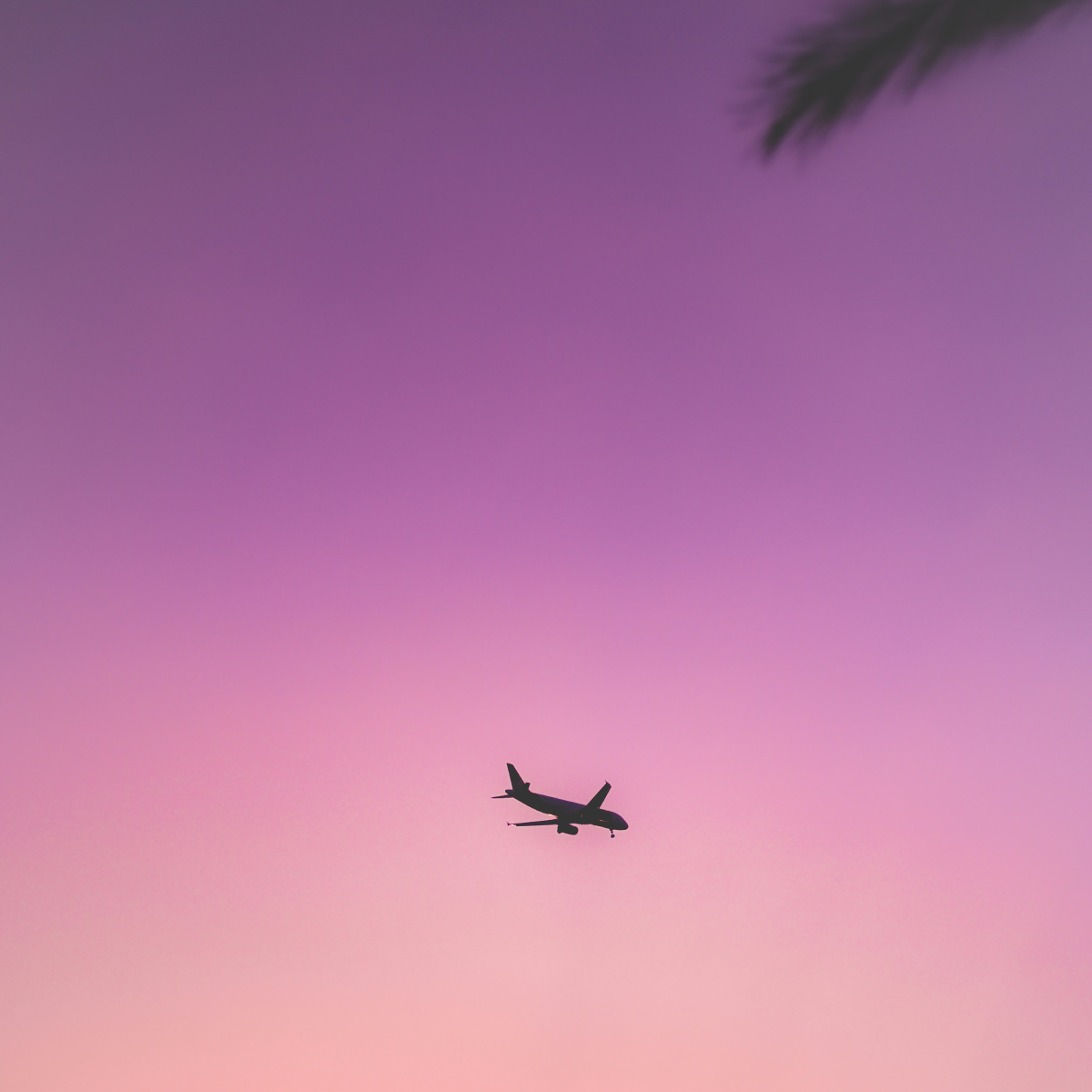 Why We Feel Broken After Long-Haul Flights: Vagus Nerve, Jet Lag, and Recovery