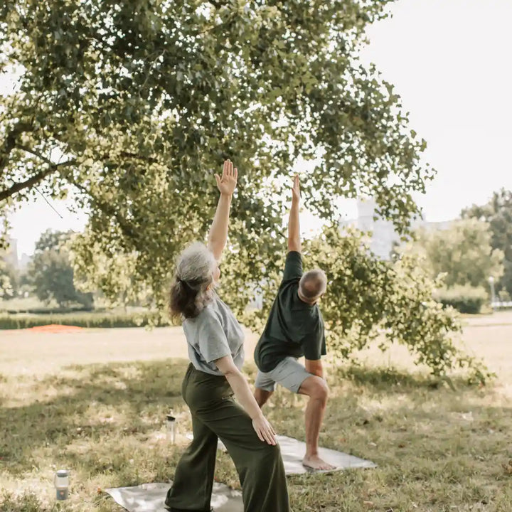 Older adults doing gentle mobility exercises in a sunny park