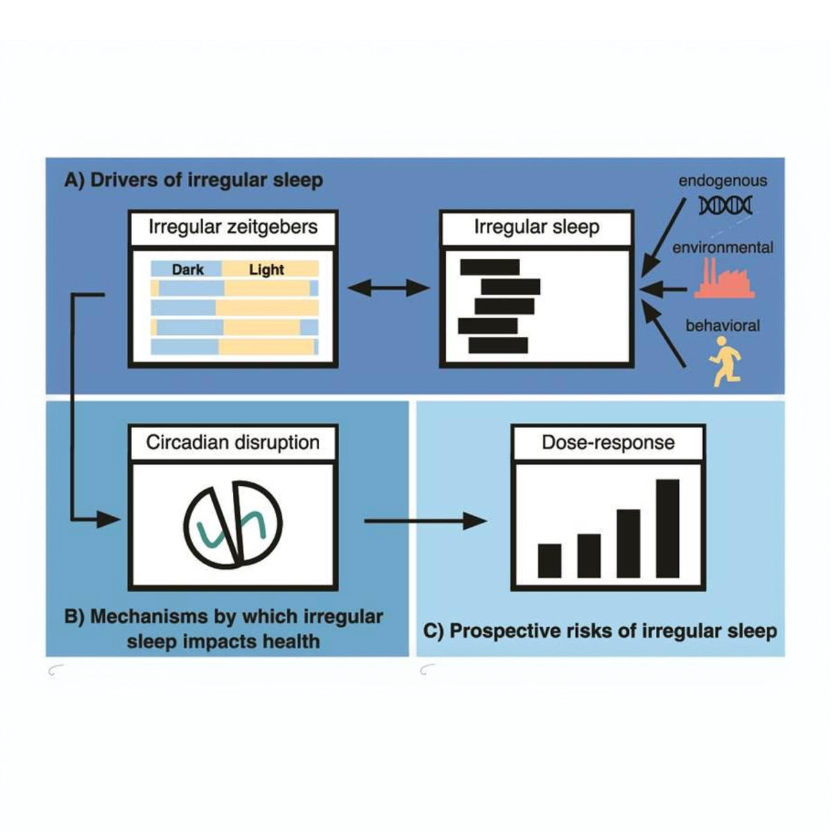 What does good sleep really look like?